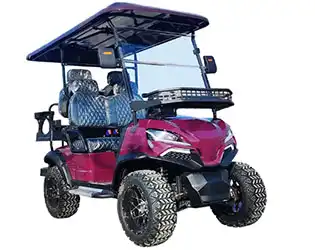 OEM 4 Person Golf Cart: Custom Color & Seats for Your Brand